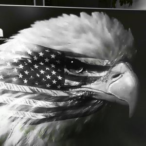 Meet your Posher, Elisabeth